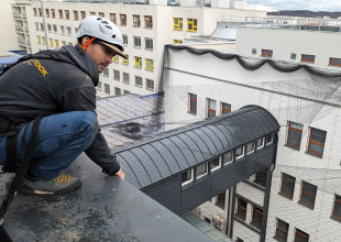 Montáž a instalace ochrany proti ptactvu